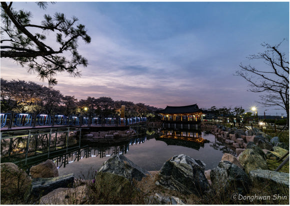 Samyang MF 14mm f/2.8 MK2 lens for Sony