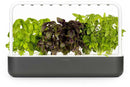 Click & Grow Smart Garden 9, gris