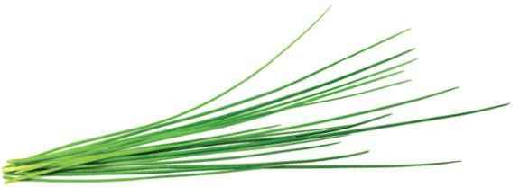 Recharge Click & Grow Smart Garden Ciboulette 3 pièces