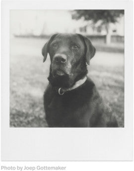 Polaroid SX-70 B&W New