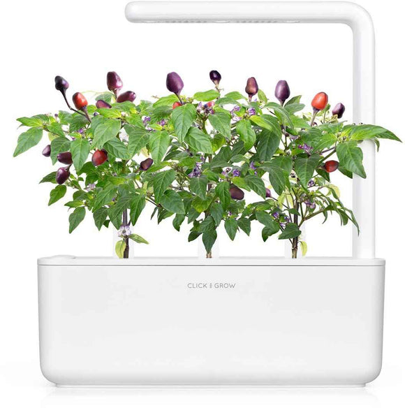 Click & Grow Smart Garden refill Purple Chili Pepper 3pcs