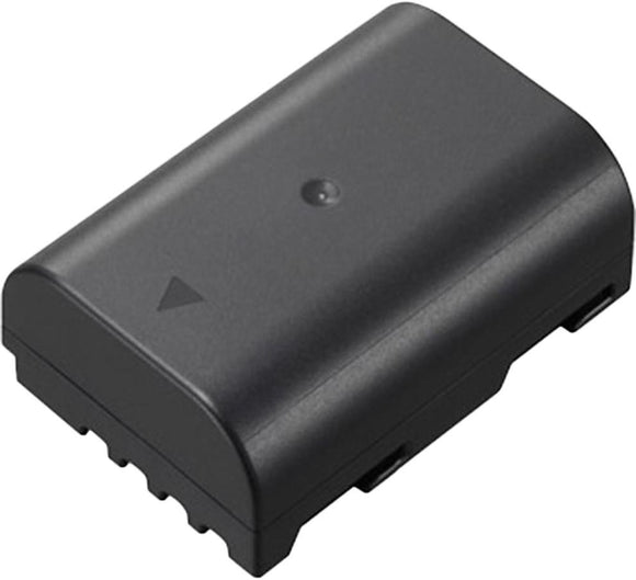 Panasonic battery DMW-BLF19
