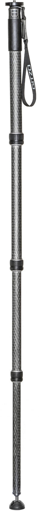 Gitzo monopod GM4542-2