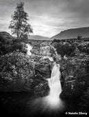 Ilford film Ortho Plus 120