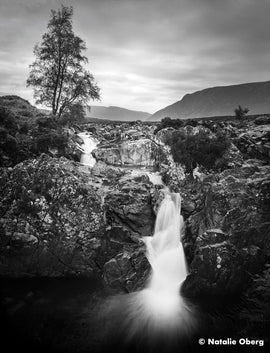 Ilford film Ortho Plus 120