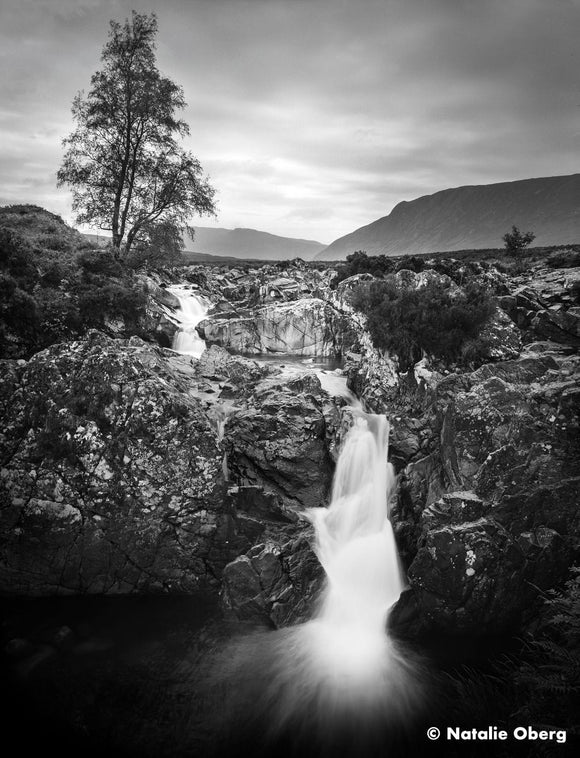 Ilford film Ortho Plus 120