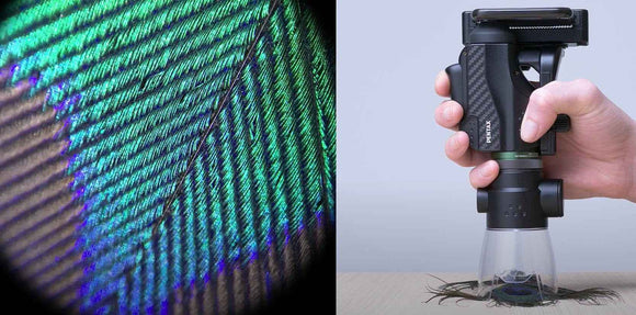 Pentax monocular VM 6x21 WP Complete Kit