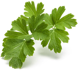 Recharge click & grow smart garden persil nature 3 pièces