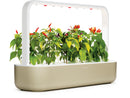 Jardin intelligent Click & Grow 9, beige