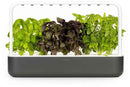 Click & Grow Smart Garden 9, gris