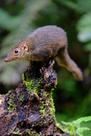 Fujifilm Fujinon XF50-140 F2.8 R LM OIS WR-5