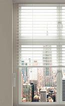 Aqara Roller Shade Driver E1 (HomeKit)