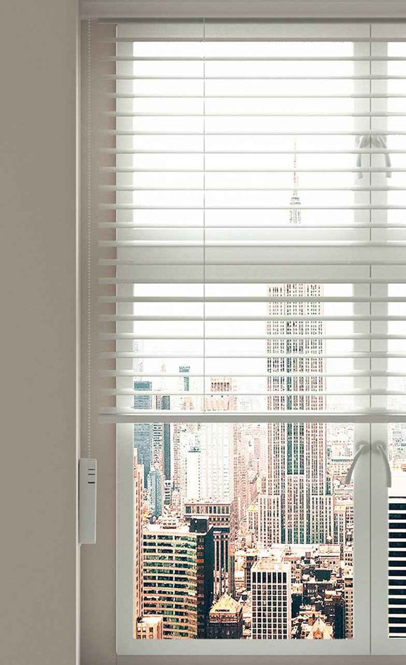 Aqara Roller Shade Driver E1 (HomeKit)