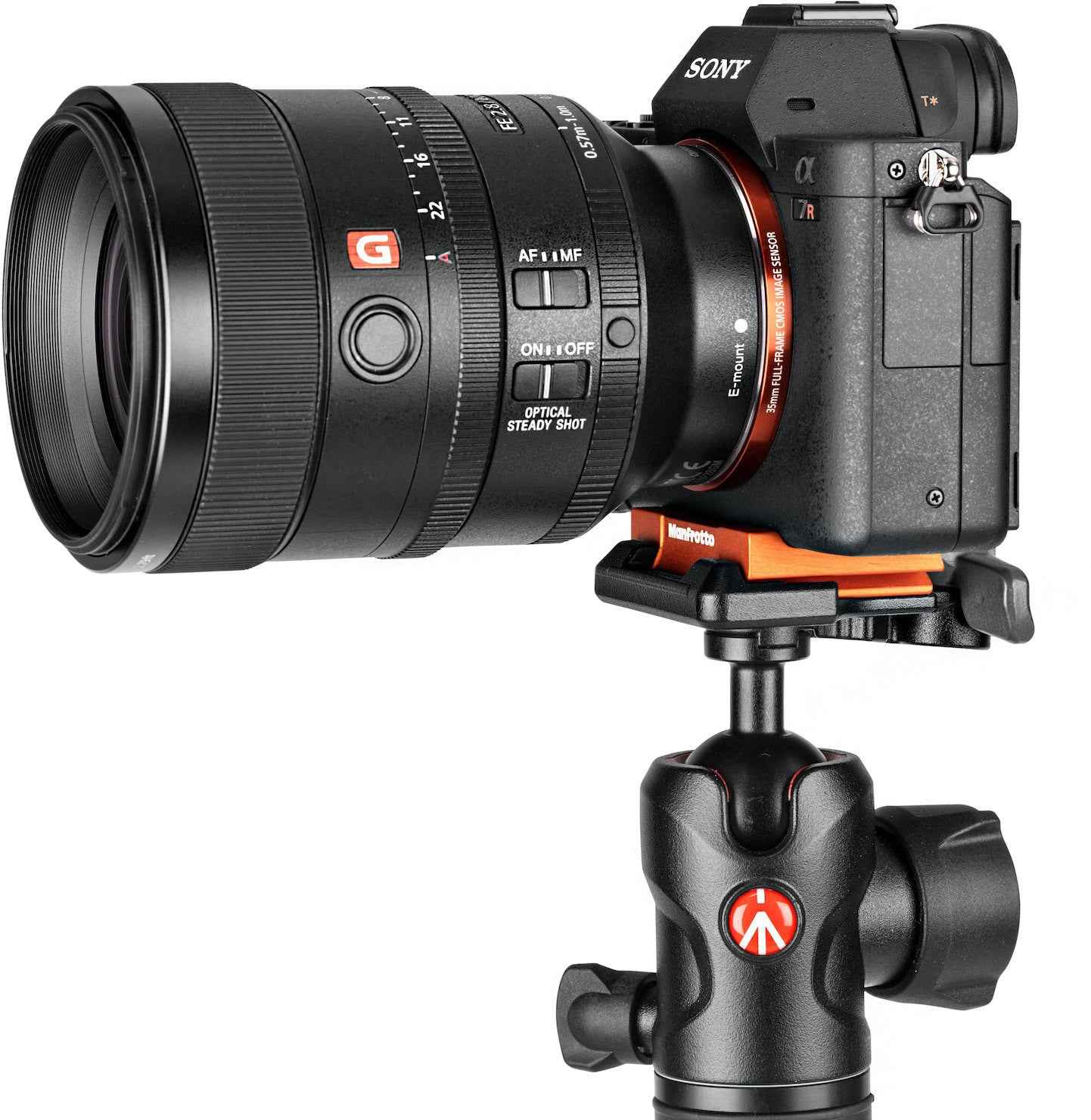Kit trépied Manfrotto Befree Advanced Alpha MKBFRLA-BH