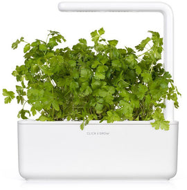 Recharge Click & Grow Smart Garden Persil nature 3 pièces