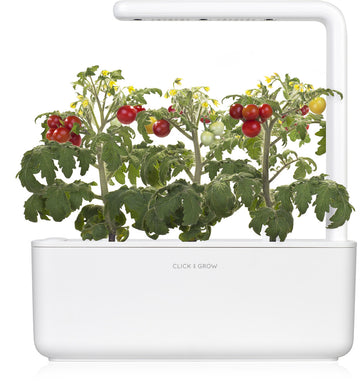 Recharge Click & Grow Smart Garden Mini Tomate 3 pièces