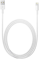 Apple Lightning to USB Cable (0.5 m)