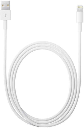 Apple Lightning to USB Cable (0.5 m)