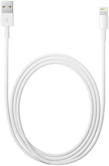 Apple Lightning to USB Cable (0.5 m)