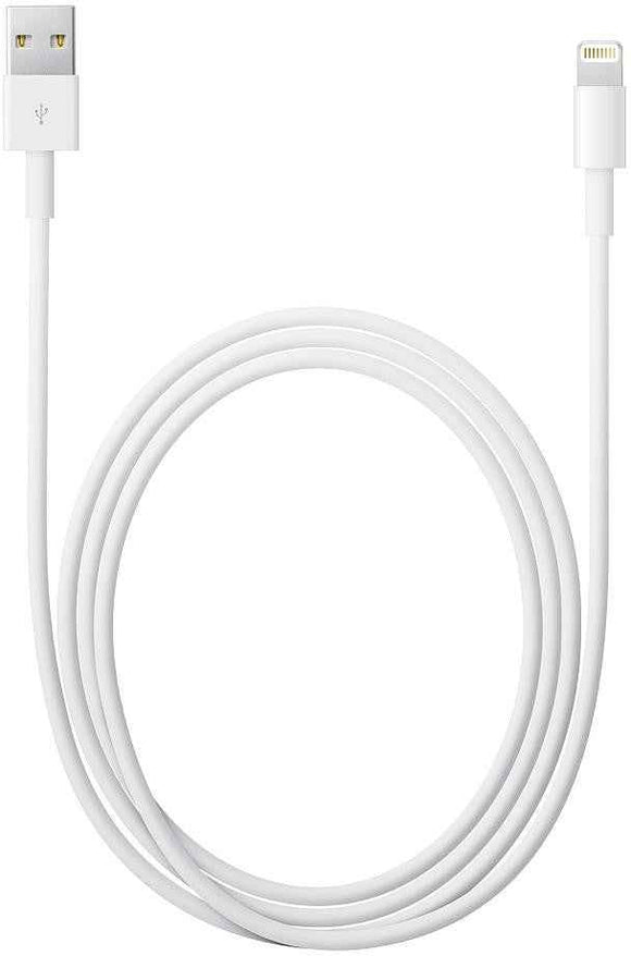 Apple Lightning to USB Cable (0.5 m)