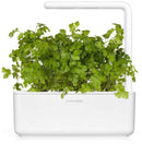 Recharge Click & Grow Smart Garden Persil nature 3 pièces