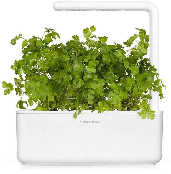 Recharge Click & Grow Smart Garden Persil nature 3 pièces