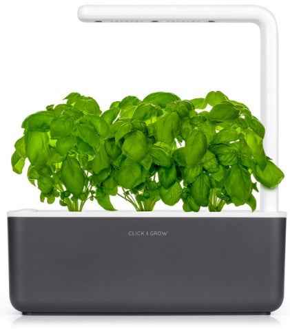 Jardin intelligent Click & Grow, gris