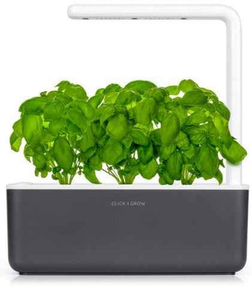 Jardin intelligent Click & Grow, gris