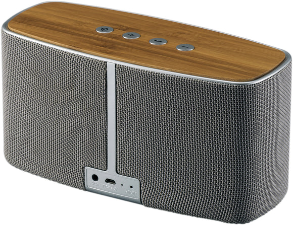 Enceinte sans fil platinet deno bt pmg096 44521