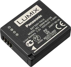 Panasonic battery DMW-BLG10E