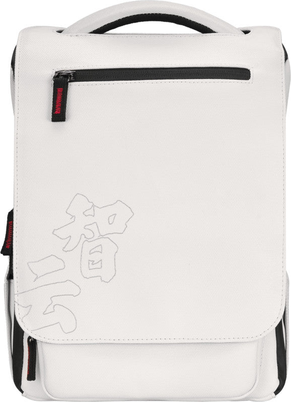 Zhiyun Crane M2S Combo