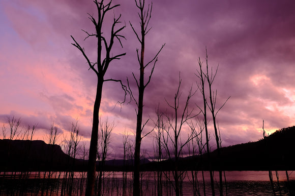 Objektyvas Fujinon XF16mm F1.4 R WR