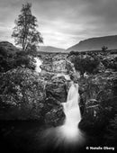 Ilford film Ortho Plus 135-36