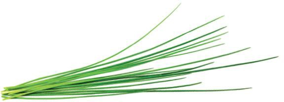 Recharge Click & Grow Smart Garden Ciboulette 3 pièces