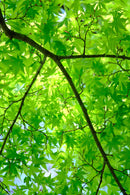 Fujifilm Fujinon XF18-120mm F4 LM PZ WR lens-6