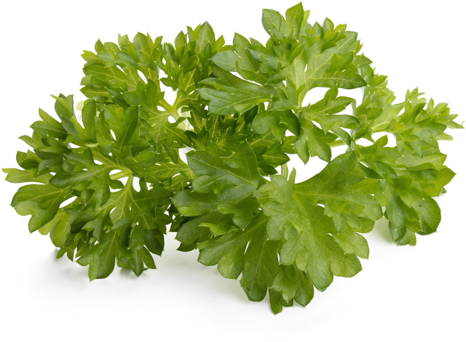Recharge click & grow smart garden persil 3 pièces