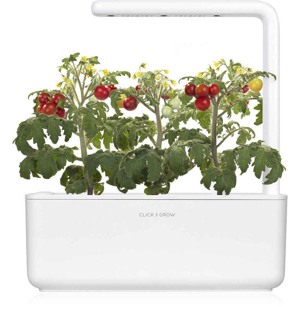Recharge Click & Grow Smart Garden Mini Tomate 3 pièces
