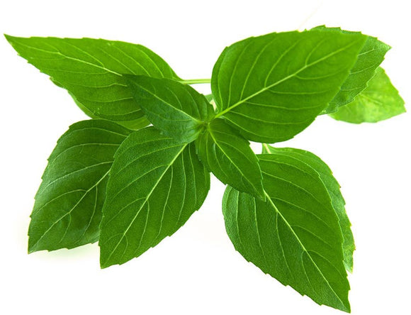 Recharge click & grow smart garden basilic thaï 3 pièces