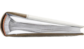 Album B 10x15/100M Lux, vert or