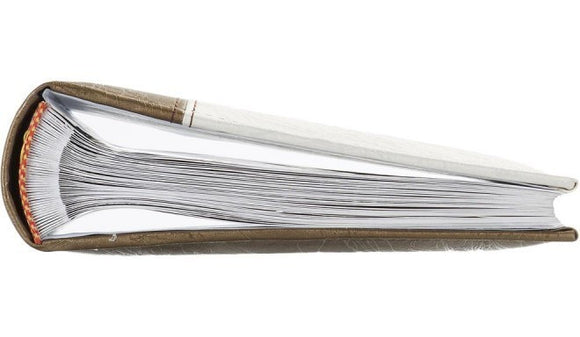 Album B 10x15/100M Lux, vert or