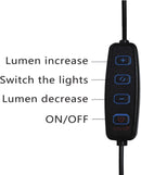 Anneau lumineux Platinet PMRL3 Vlog LED Flexible