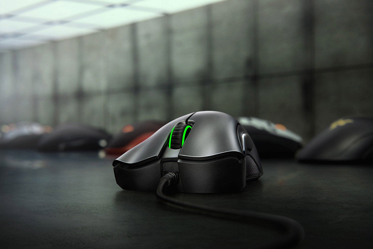 Souris de jeu Razer DeathAdder Essential pour droitier, USB Type-A, optique, 6 400 DPI
