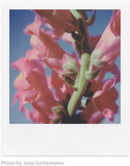 Polaroid SX-70 Color New-2