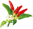 Recharge Click & Grow Smart Garden Red Hot Chili Pepper 3 pièces