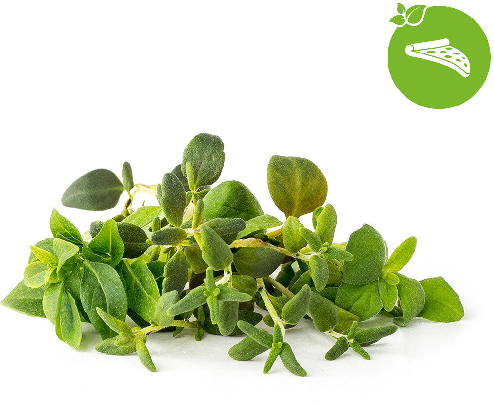 Capsules de plantes Click & Grow mélange italien 9 pièces