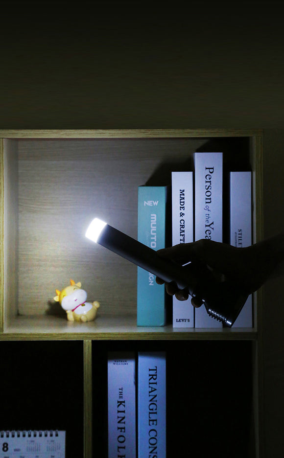 Lampe torche Platinet 5 W 2400 mAh, grise (45771)