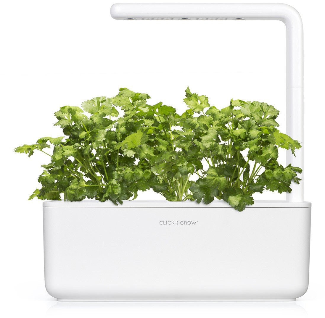 Recharge click & grow smart garden coriandre 3 pièces
