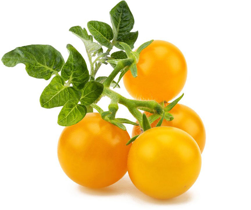 Recharge Click & Grow Smart Garden Mini Tomate Jaune 3 pièces