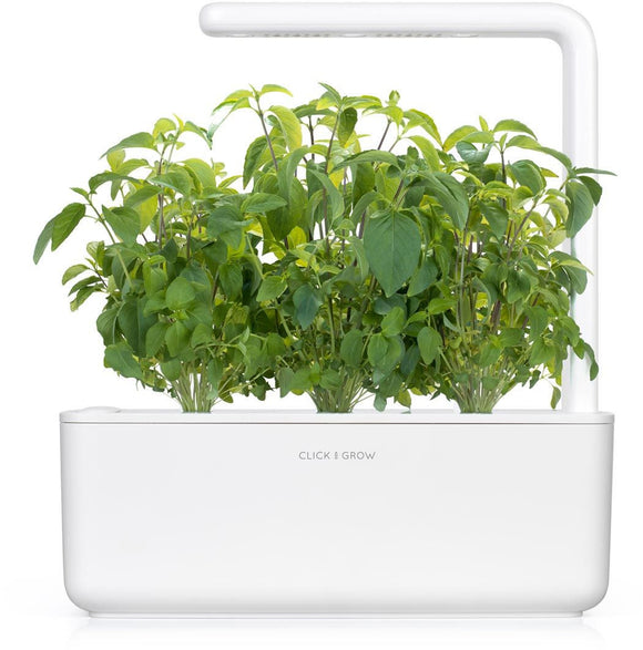 Recharge Click & Grow Smart Garden Basilic Thaï 3 pièces