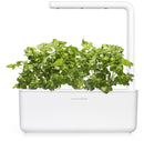Recharge Click & Grow Smart Garden Coriandre 3 pièces